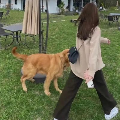 牢狱鸳
