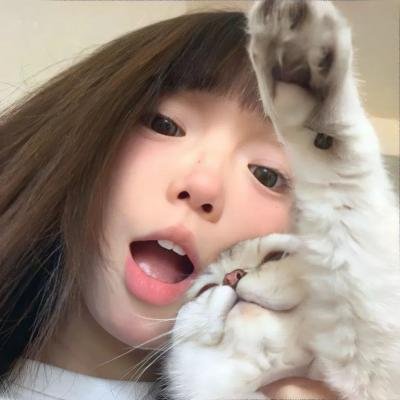 兰闺伴侣